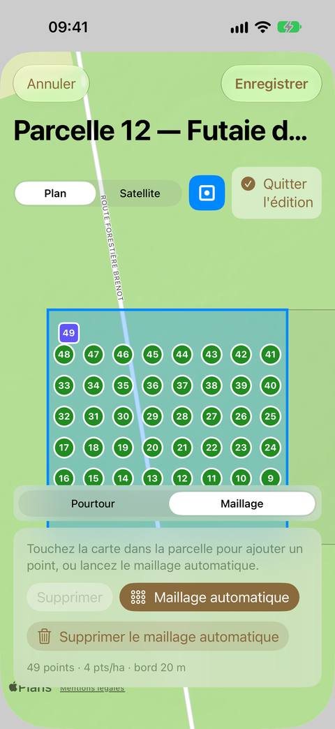 Le mode Maillage : les points de mesure numérotés dans la parcelle — ronds pour les points automatiques, carré pour un point ajouté à la main — et le panneau avec Maillage automatique, Supprimer le maillage automatique et la synthèse des réglages.